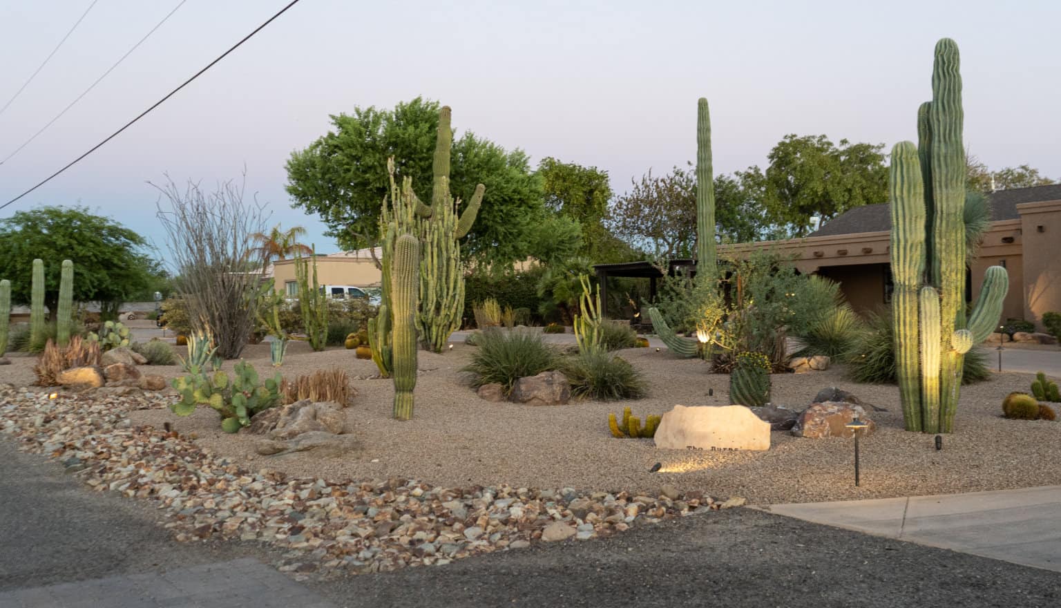 cacti and rock custom desert landscaping